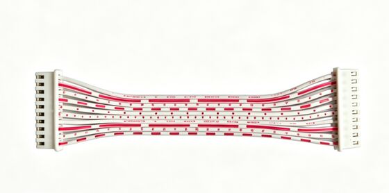 10P XH2.54 Dual-End Ribbon Wire Harness, Red/White Flat Cable