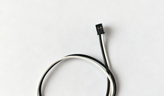 1.25mm Pitch To 2.0mm Pitch 2P Black And White Electronic Wire