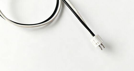 1.25mm Pitch To 2.0mm Pitch 2P Black And White Electronic Wire